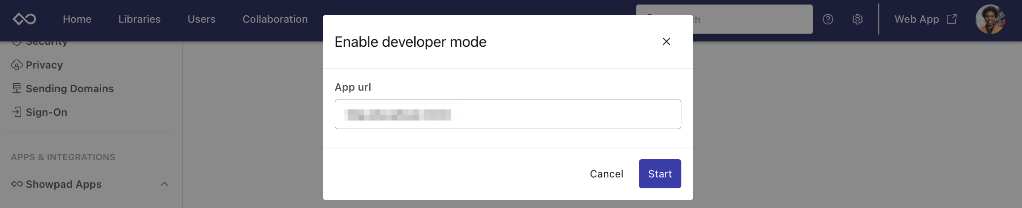 developer mode