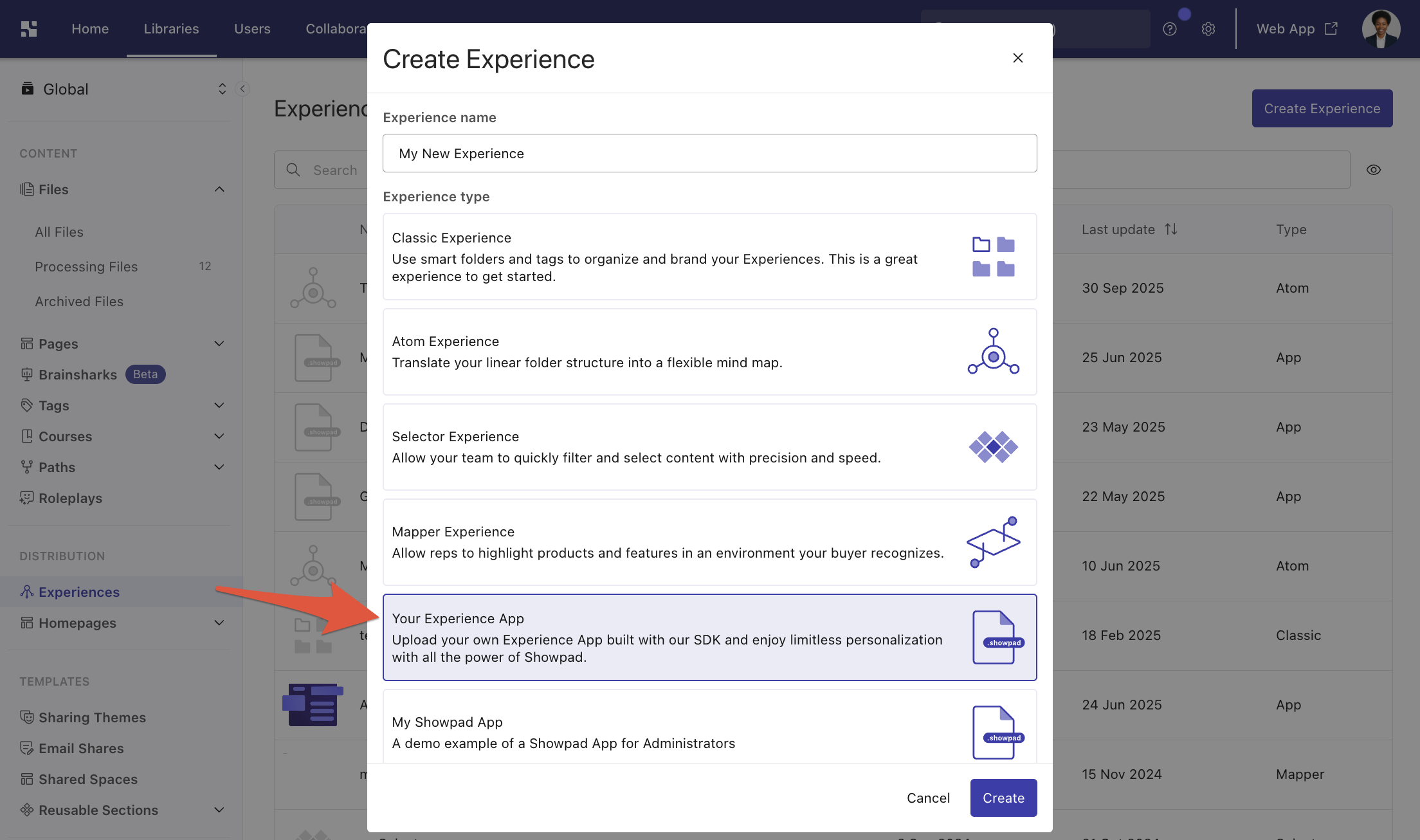 Create New Experiences dialog showing a custom Experience Type